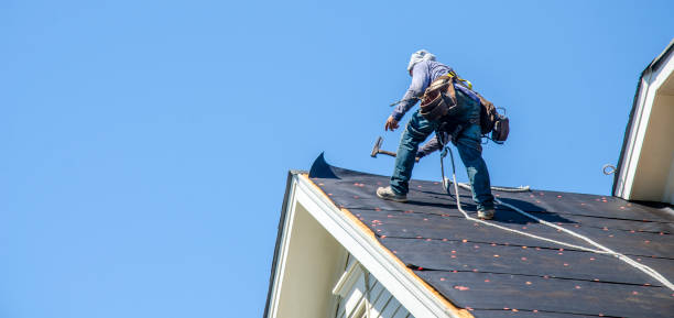 Best Roof Waterproofing Services  in Rapids, NY